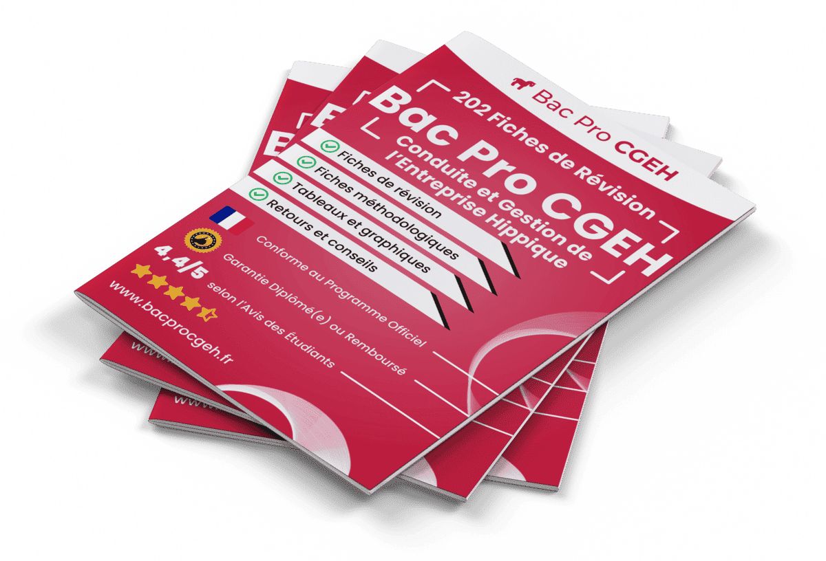 202 Fiches de Révision pour le Bac Pro CGEH